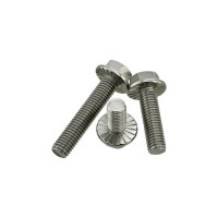 Болт DINFIX DIN 6921 с шестигранной головкой с фланцем с зазубринами 6x40 А2 нержав. сталь (50 шт) 00-0004103