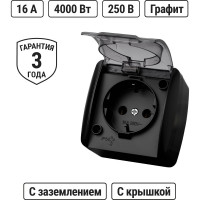 Розетка TDM ELECTRIC 2П+3 открытой установки IP54 16А с прозрачной крышкой графит "Селигер" SQ1818-0307