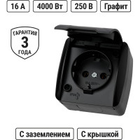 Розетка TDM ELECTRIC 2П+З открытой установки IP54 16А с крышкой графит "Селигер" SQ1818-0313