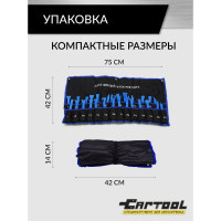 Набор съемников панелей и молдингов автомобиля, 27 предметов Car-Tool CT-V1727