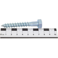 Сантехнический шуруп Невский Крепеж 10x70, 2 шт. пакет нк 800476