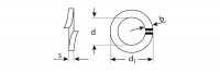 ЗУБР din 127, 3 мм, цинк, 5 кг, пружинная шайба (303850-03)