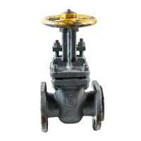 Задвижка стальная зкл2-16 газ 30с41нж ду50 ру16 мзта