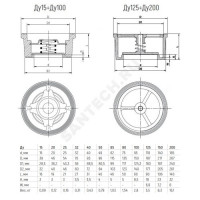 Клапан обратный нерж осевой ду 150 межфл диск нерж benarmo