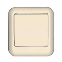 Выключатель 1-кл. ОП Прима 6А IP20 с монтаж. пластиной сл. кость (опт. упак.) SchE A16-051M-S