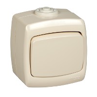 Переключатель проходной 1-кл. ОП Рондо 6А IP44 250В сл. кость SchE VA66-102B-SI