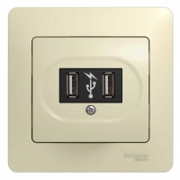 Розетка USB 1-м СП Glossa механизм беж. SchE GSL000232