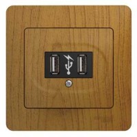 Розетка USB 2-м СП Glossa 5В/1400мА 2х5В/700 мА механизм дерево дуб SchE GSL000532
