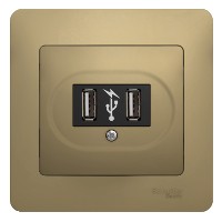 Розетка USB 1-м СП Glossa механизм титан SchE GSL000432