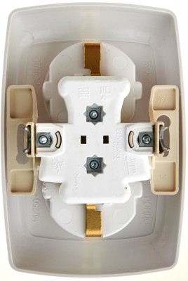 Розетка 2-м СП Рондо 16А IP20 250В с заземл. без защ. шторок бел. SchE RS16-228-BI