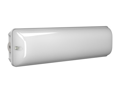 Светильник аварийный BS-METEOR-893-10х0.3 LED IP65 автономный Белый свет a14405