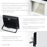 Stayer LED-max, 100 вт, 6500k, ip 65, светодиодный прожектор (57131-100)
