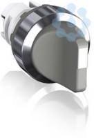 Переключатель с фикс. без подсветки M2SS2-20U сер. ABB 1SFA611201R2007