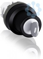 Переключатель M2SSK1-102 с ключом. 2-х позиц. ABB 1SFA611280R1002
