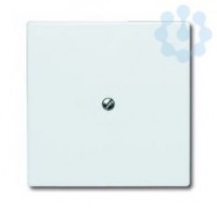 Заглушка с суппортом (IP44) Allwetter 44 сл. кость ABB 2CKA001710A2264