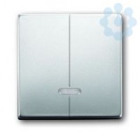 Клавиша для 2-канального светорег. 6565 U pur/сталь ABB 2CKA006599A2927
