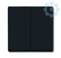 Клавиша для механизма 2-кл. выкл./перекл./кнопки IP44 Allwetter 44 антрацит ABB 2CKA001731A1676