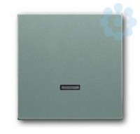 Клавиша для светорегулятора 6550 U-10х6560 U-101 6593 U реле 6401 U-10х6402 U solo/future meteor/сер. металлик ABB 6599-