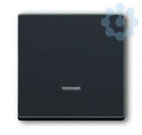 Клавиша для светорегулятора 6550 U-10х6560 U-101 6593 U реле 6401 U-10х6402 U solo/future антрацит ABB 2CKA006599A2881