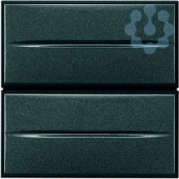 Кнопка двойн. 1Р (NO) + 1Р (NO) 10А 250В 2мод. Axolute антрацит Leg BTC HS4036/2