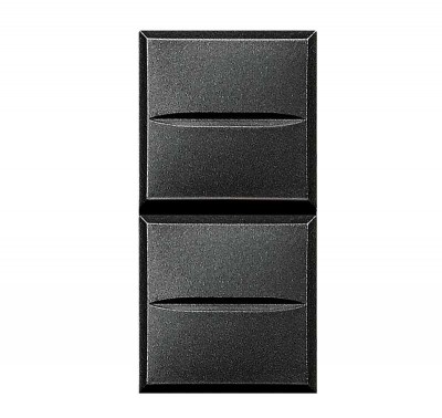 Кнопка двойн. 1Р (NO) + 1Р (NO) 10А 250В Axolute антрацит Leg BTC HS4036