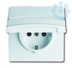 Розетка 1-м СП Allwetter44 20 EUGKBN-34-101 16А IP44 250В Schuko защ. шторки с крышкой с полем для надписи уплотнит. кольцо альп. бел. ABB 2CKA002064A0301