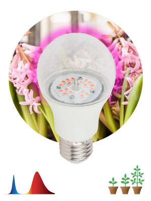 Лампа светодиодная FITO-10W-RB-E27-K 10Вт A60 грушевидная прозрачная 1310К E27 130-270В для растений красн./син. спектр Эра Б0039069