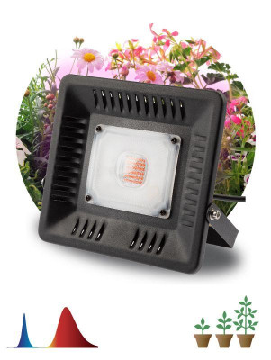 Прожектор светодиодный для растений FITO-50W-LED BLUERED 50Вт IP65 220-240В -30град. до + 45град. 30000ч для цветения и плодоношения красно-синего спектра ЭРА Б0039033
