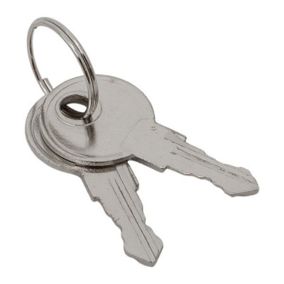 Ключ для замка (арт. 18-20/38-ip31) PROxima EKF key-1