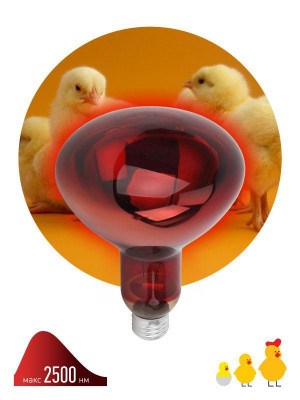 Излучатель тепловой (лампа инфракрасная) ИКЗК 230-150 R127 150Вт E27 для обогрева животных и освещения Эра Б0055441