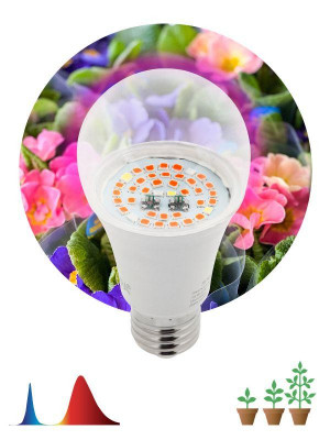 Лампа светодиодная FITO-12W-RB-E27 12Вт E27 для растений красн./син. спектр Эра Б0050601