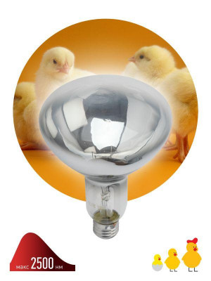 Излучатель тепловой (лампа инфракрасная) ИКЗ 220-250 R127 250Вт E27 IP20 Эра Б0042991
