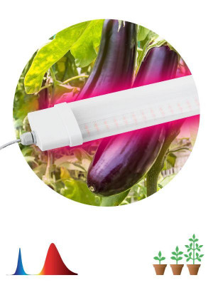 Светильник для растений FITO-36W-RB-N 36Вт 220-240В IP65 проф. спектр для периода вегетации прозр. рассеив. ЭРА Б0045697