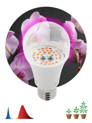 Лампа светодиодная FITO-14W-RB-E27 14Вт E27 для растений красн./син. спектр Эра Б0050602