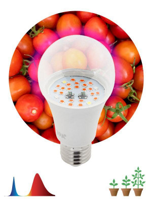 Лампа светодиодная FITO-10W-RB-E27 10Вт E27 для растений красн./син. спектр Эра Б0050600
