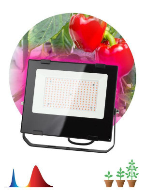 Прожектор светодиодный для растений FITO-100W-RB-LED для цветения и плодоношения красно-синего спектра ЭРА Б0046369