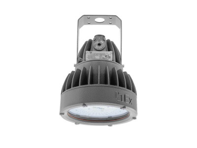 Светильник светодиодный ZENITH LED 50 D270 g Ex G2 СТ 1226000430