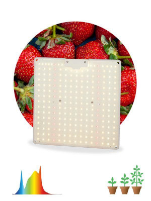 Фитопрожектор светодиодный для растений FITO-80W-LED-QB Quantum board Эра Б0053285