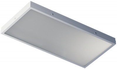 Светильник светодиодный 92 761 ДВО-17-О-18-3K-IP54-SNR Innolux 92761