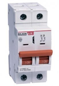 Выключатель автоматический модульный 2п BKJ63N C6 LS Electric 06122651R0