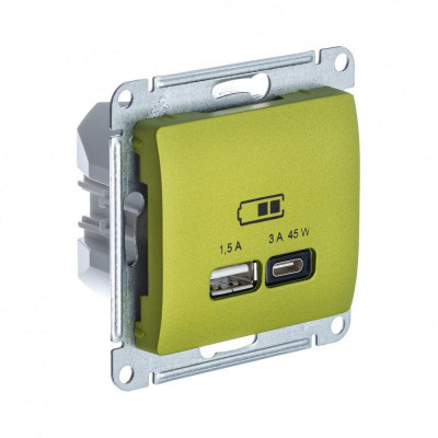 Розетка USB Glossa тип A+C 45Вт QC PD высокоскор. ЗУ механизм фисташ. SE GSL001029