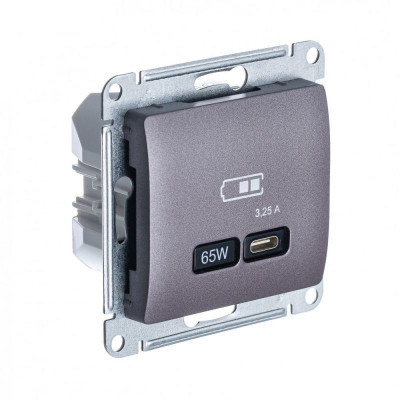 Розетка USB Glossa тип C 65Вт QC PD высокоскор. ЗУ механизм мирн. туман SE GSL001427
