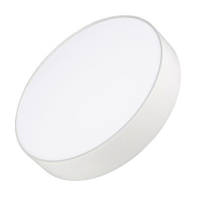 Светильник SP-RONDO-250A-30W Day White (IP40 металл) Arlight 022232