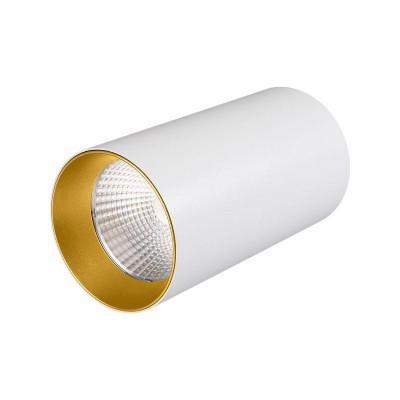 Светильник накладной SP-POLO-R85-1-15W Day White 40deg (White Gold Ring) (IP20 металл) Arlight 022941