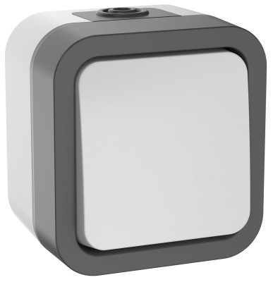 Выключатель 1-кл. 2п ОП TORS TS211 10А IP55 бел. IEK TS-V16-0-10-55-K41