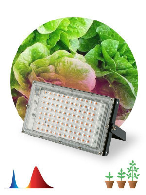 Прожектор светодиодный FITO-80W-RB-LED-Y 80Вт для растений красн./син. спектр IP65 Эра Б0053082