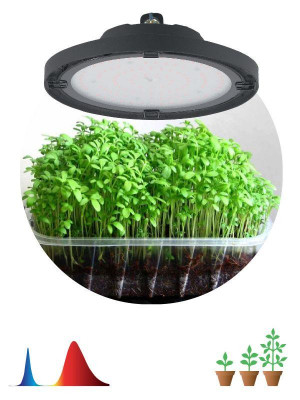 Прожектор светодиодный FITO-50W-RB-LED-UFO 50Вт для растений красн./син. спектр IP65 Эра Б0053280