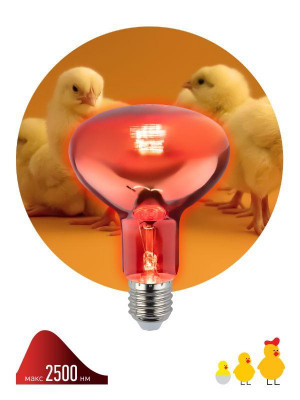 Излучатель тепловой (лампа инфракрасная) ИКЗК 230-100 R95 100Вт E27 для обогрева животных и освещения Эра Б0062411
