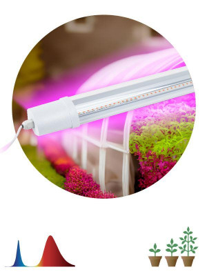 Светильник светодиодный FITO-24W-RB-N 24Вт для растений красн./син. спектр Эра Б0061425