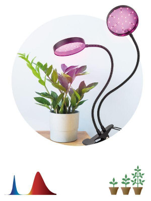 Светильник светодиодный FITO-20W-АLED-R 20Вт для растений красн./син. спектр на прищепке черн. Эра Б0053290